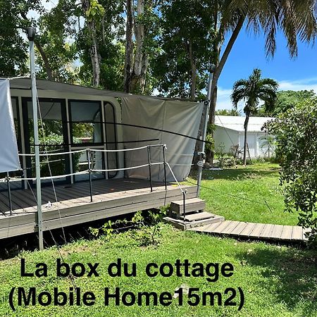 Le Cottage De Castaing Sur Plage Privee Sainte-Anne  Exterior foto