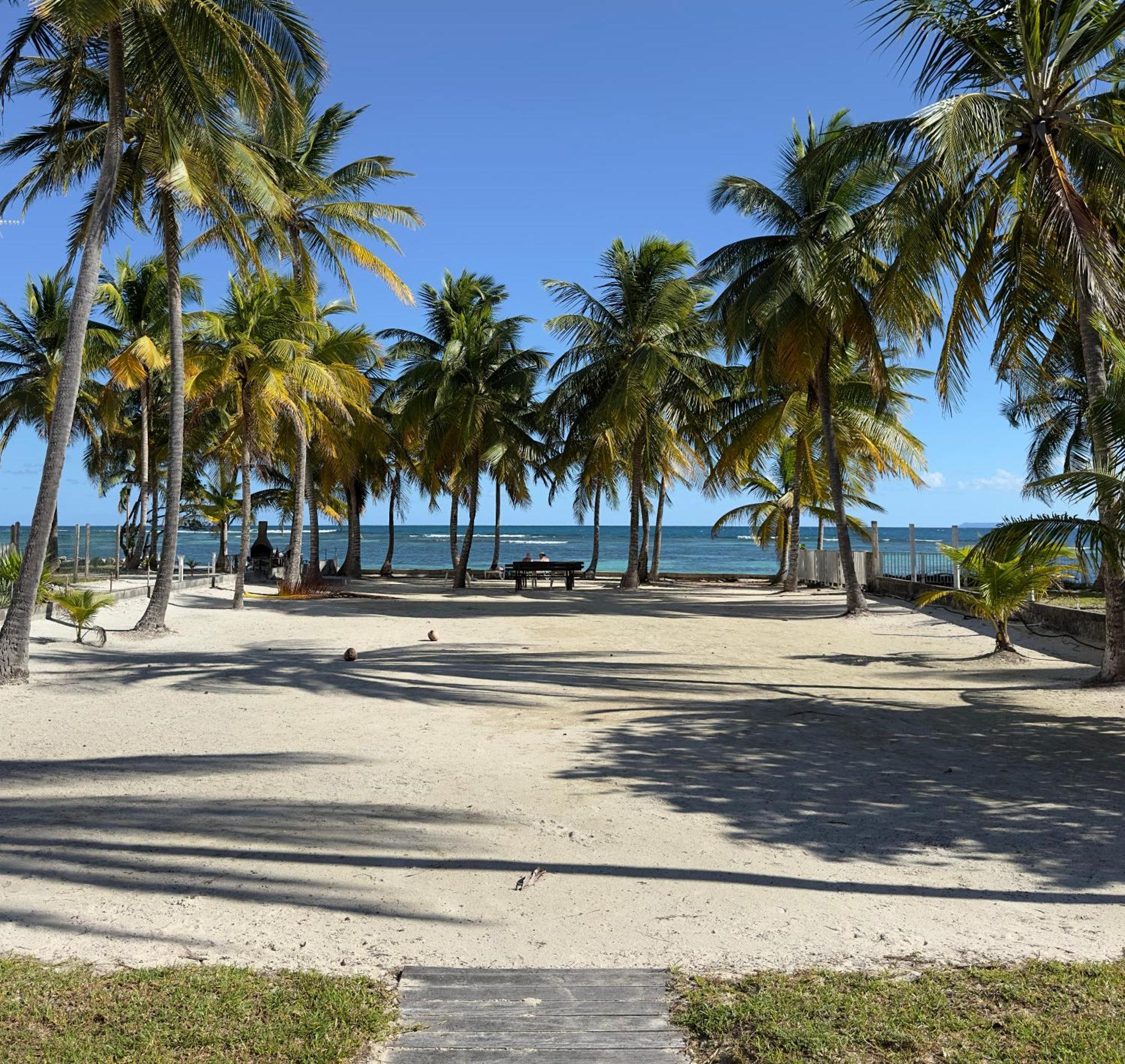 Le Cottage De Castaing Sur Plage Privee Sainte-Anne  Exterior foto